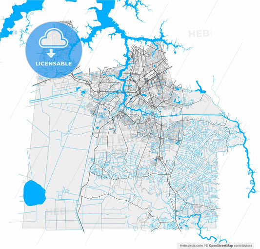 Chesapeake, Virginia, United States, high resolution vector map - Instant download PDF and JPG