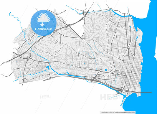 Alexandria, Virginia, United States, high resolution vector map - Instant download PDF and JPG
