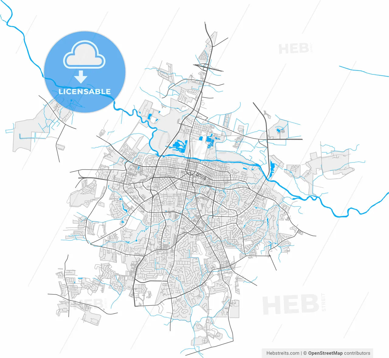 Greenville, North Carolina, United States, high resolution vector map - Instant download PDF and JPG