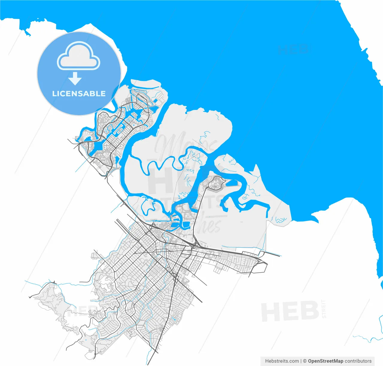 Redwood City, California, United States, high resolution vector map - Instant download PDF and JPG