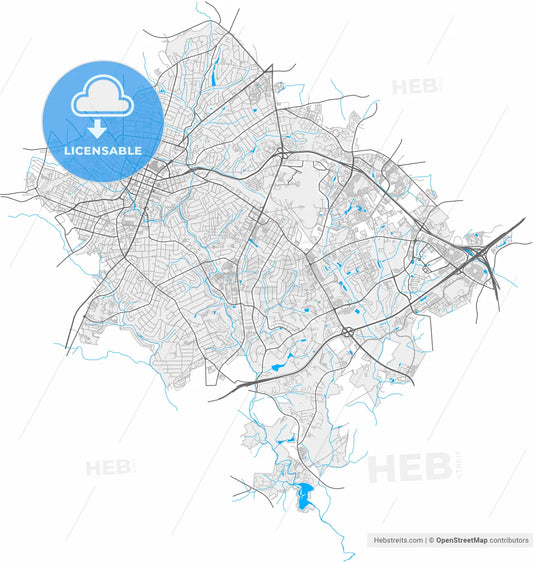 Greenville, South Carolina, United States, high resolution vector map - Instant download PDF and JPG