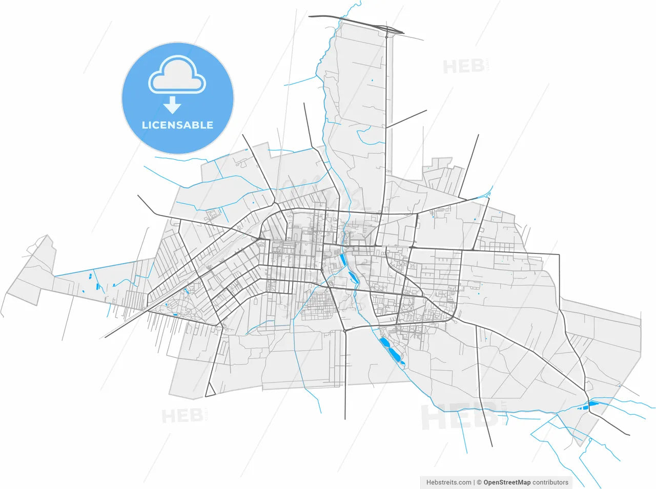 Pabianice, Łódź, Poland, high resolution vector map - Instant download PDF and JPG