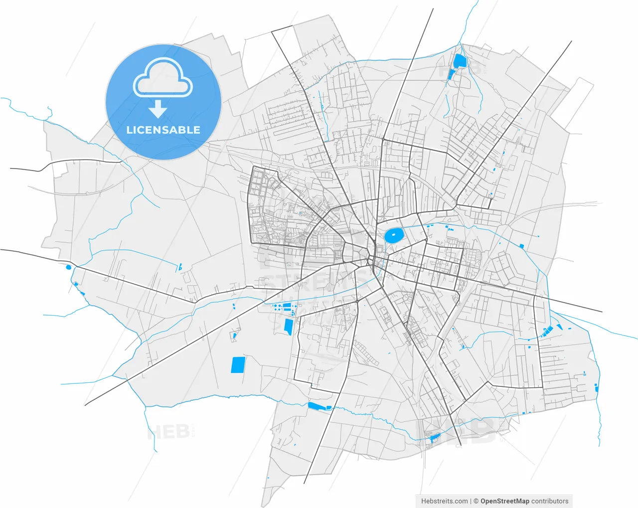 Zgierz, Łódź, Poland, high resolution vector map - Instant download PDF and JPG
