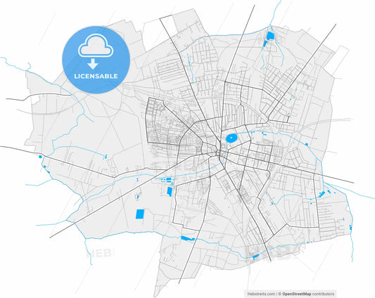 Zgierz, Łódź, Poland, high resolution vector map - Instant download PDF and JPG