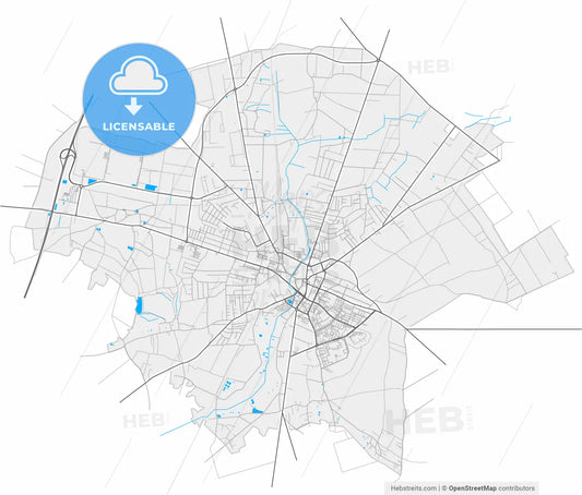 Radomsko, Łódź, Poland, high resolution vector map - Instant download PDF and JPG
