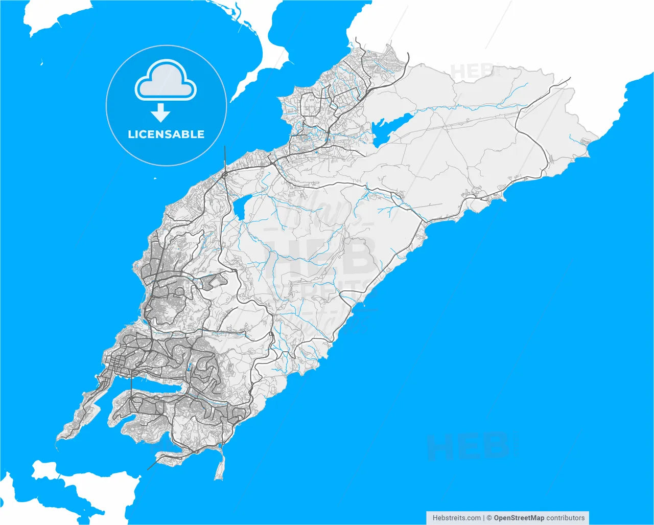 Vladivostok, Primorsky Krai, Russia, high resolution vector map - Instant download PDF and JPG
