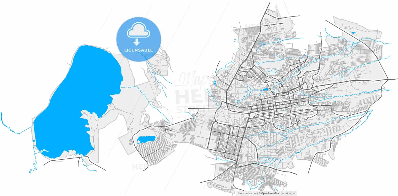 Stavropol, Stavropol Krai, Russia, high resolution vector map - Instant download PDF and JPG