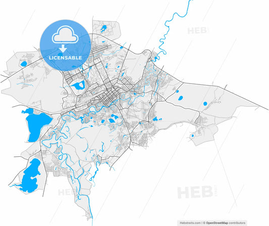Kurgan, Kurgan Oblast, Russia, high resolution vector map - Instant download PDF and JPG