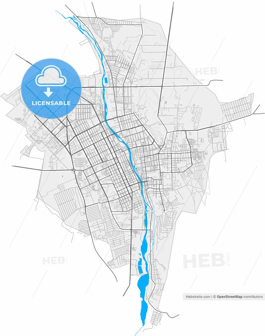 Vladikavkaz, Republic of North Ossetia-Alania, Russia, high resolution vector map - Instant download PDF and JPG