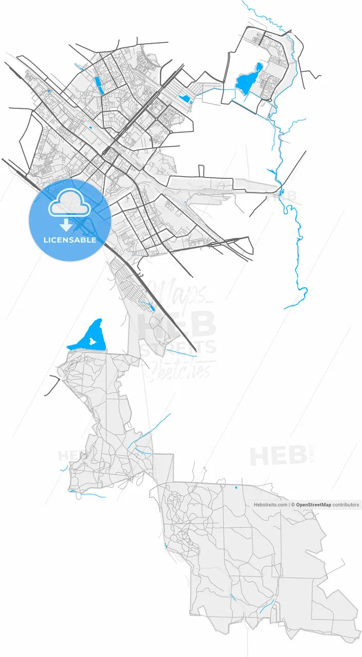 Lyubertsy, Moscow Oblast, Russia, high resolution vector map - Instant download PDF and JPG