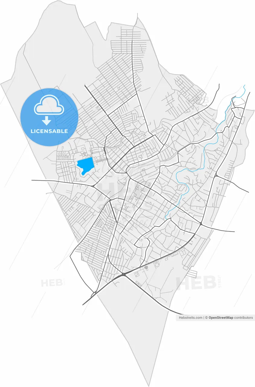 Nazran, Republic of Ingushetia, Russia, high resolution vector map - Instant download PDF and JPG