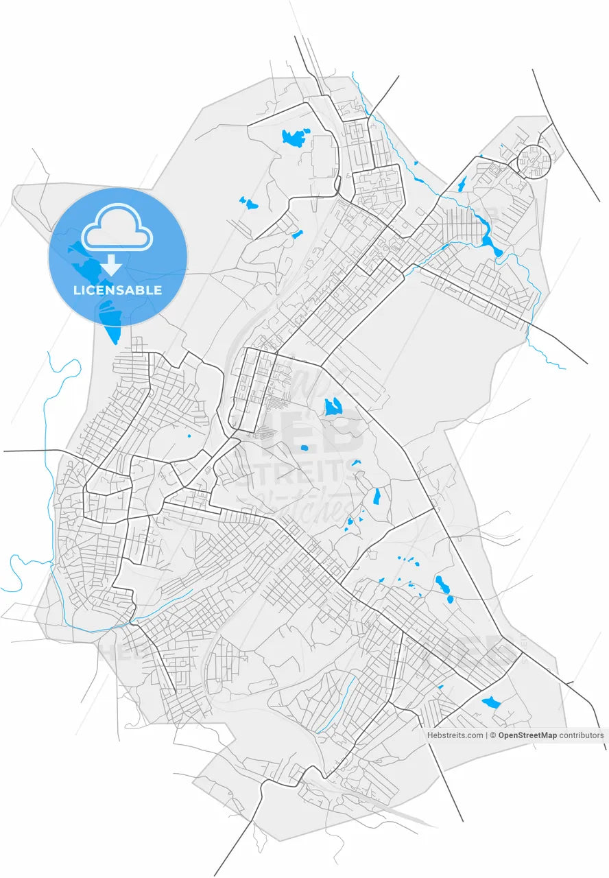 Leninsk-Kuznetsky, Kemerovo Oblast, Russia, high resolution vector map - Instant download PDF and JPG
