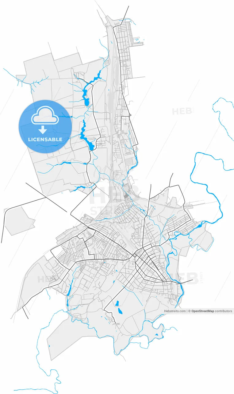 Michurinsk, Tambov Oblast, Russia, high resolution vector map - Instant download PDF and JPG