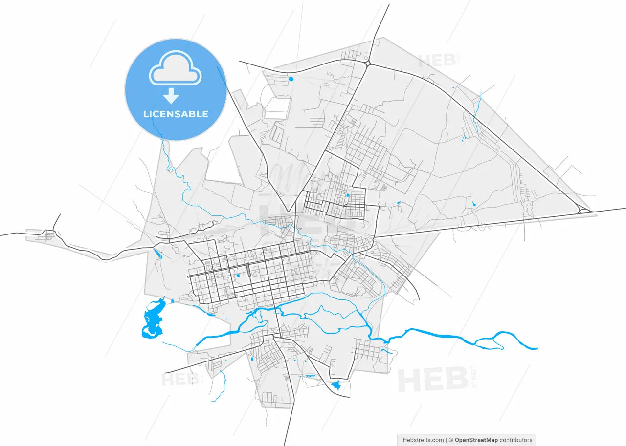 Shadrinsk, Kurgan Oblast, Russia, high resolution vector map - Instant download PDF and JPG