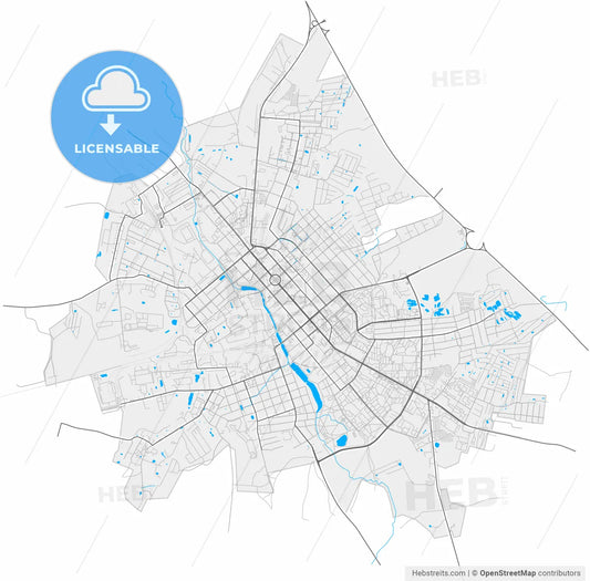 Yegoryevsk, Moscow Oblast, Russia, high resolution vector map - Instant download PDF and JPG
