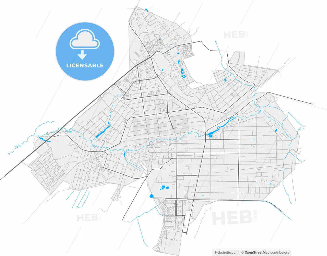 Vsevolozhsk, Leningrad Oblast, Russia, high resolution vector map - Instant download PDF and JPG