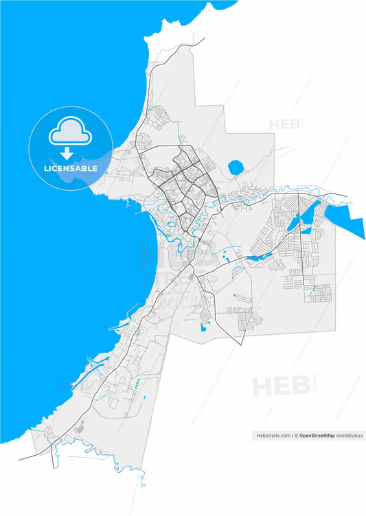 Sosnovy Bor, Leningrad Oblast, Russia, high resolution vector map - Instant download PDF and JPG
