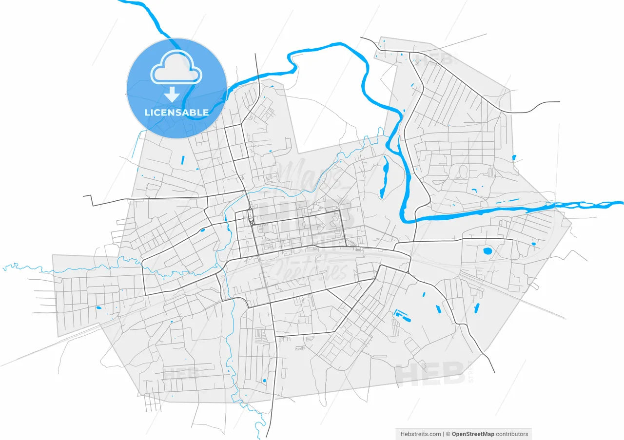 Pavlovsky Posad, Moscow Oblast, Russia, high resolution vector map - Instant download PDF and JPG