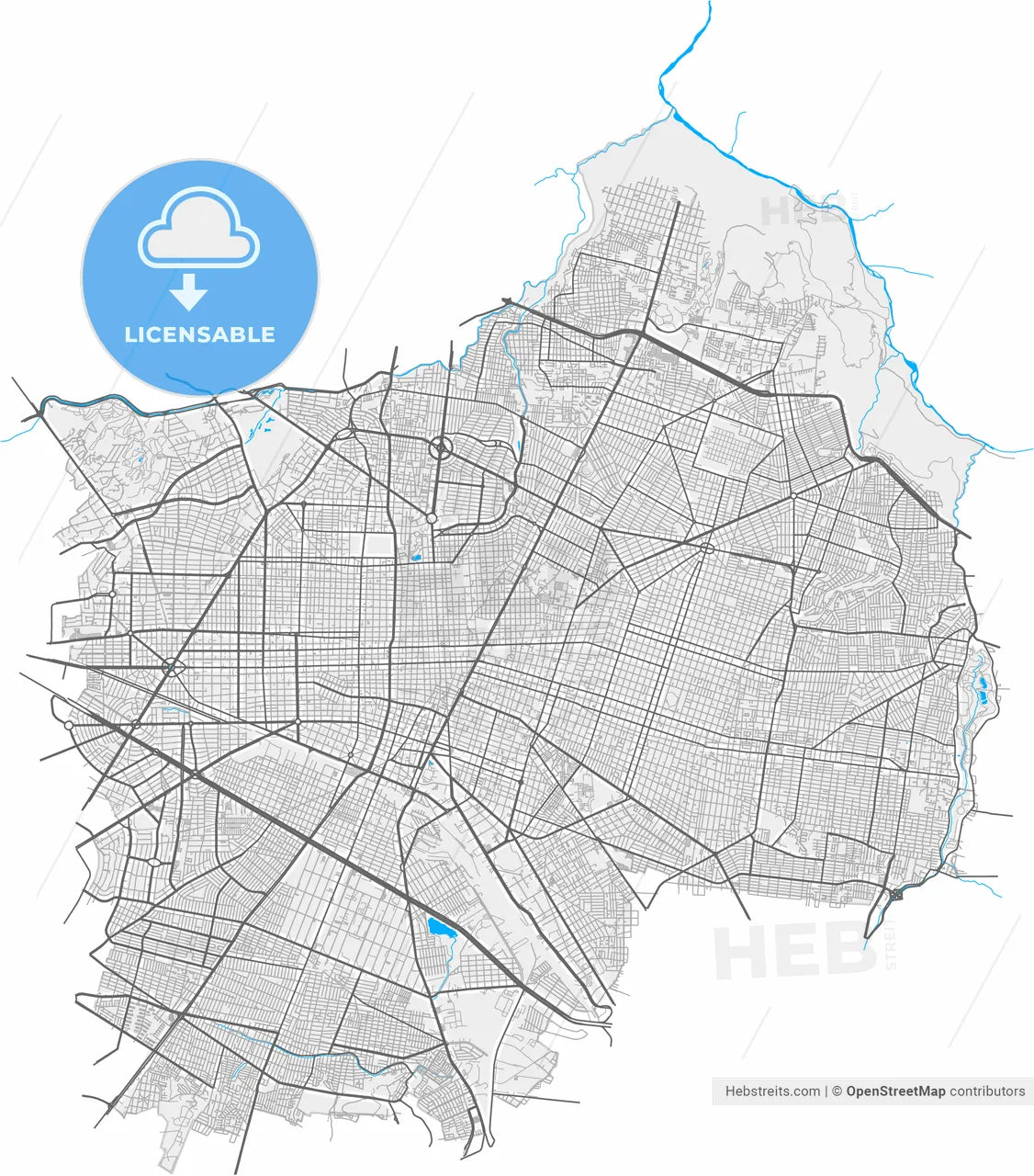 Guadalajara, Jalisco, Mexico, high resolution vector map - Instant download PDF and JPG