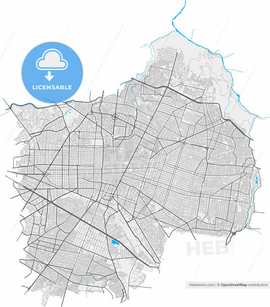 Guadalajara, Jalisco, Mexico, high resolution vector map - Instant download PDF and JPG