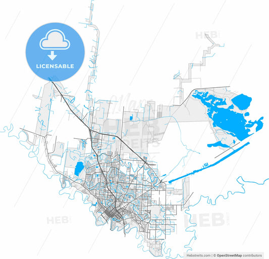 Brownsville, Texas, United States, high resolution vector map - Instant download PDF and JPG