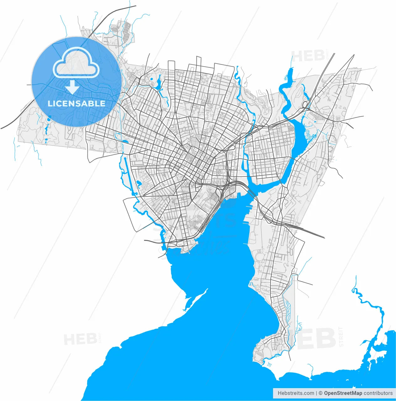 New Haven, Connecticut, United States, high resolution vector map - Instant download PDF and JPG