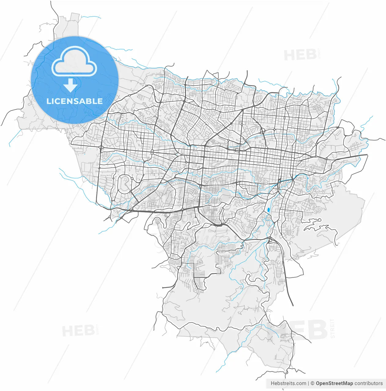 San Salvador, San Salvador, El Salvador, high resolution vector map - Instant download PDF and JPG