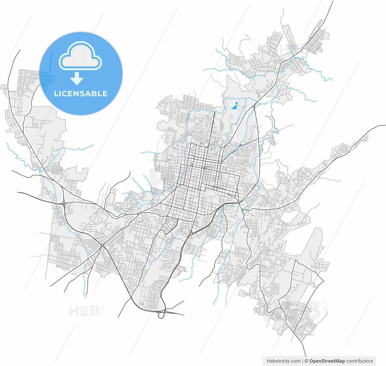 Santa Ana, Santa Ana, El Salvador, high resolution vector map - Instant download PDF and JPG