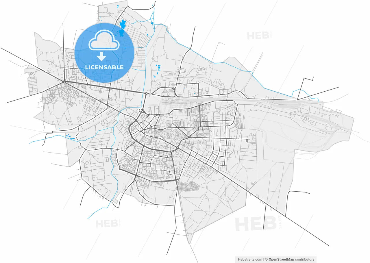 Chełm, Lublin, Poland, high resolution vector map - Instant download PDF and JPG