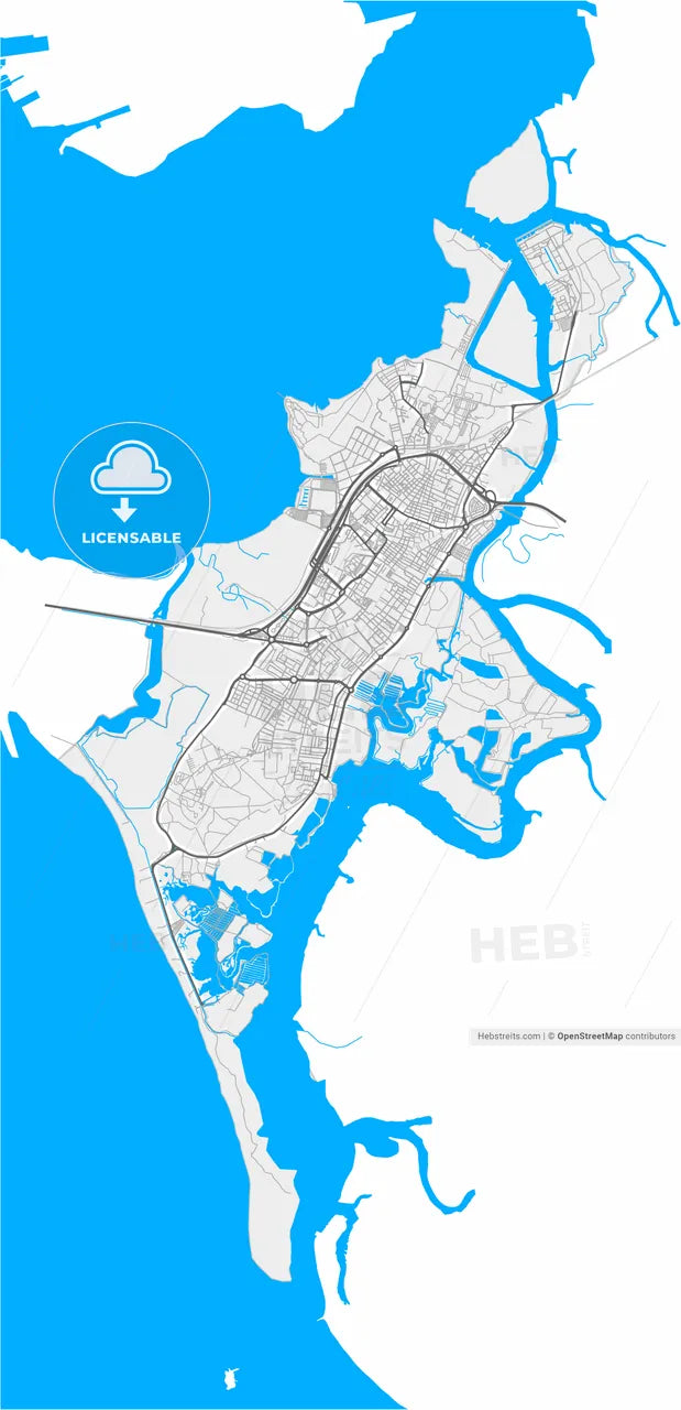 San Fernando, Cádiz, Spain, high resolution vector map - Instant download PDF and JPG