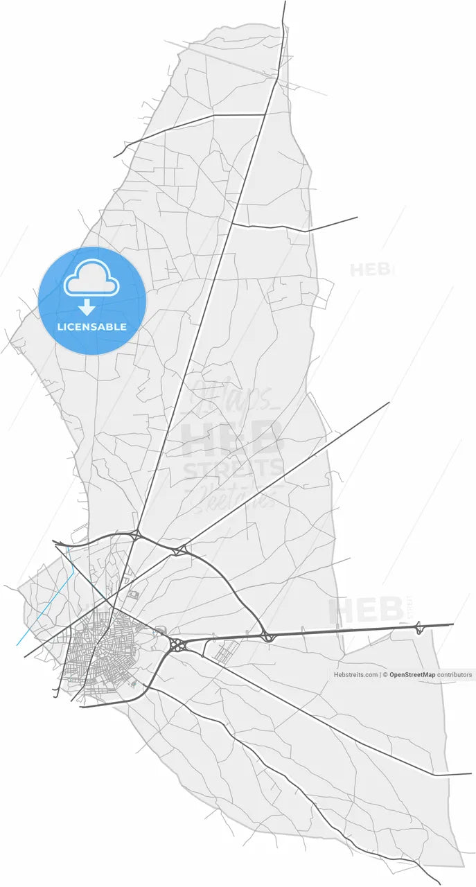 Tomelloso, 13700, Spain, high resolution vector map - Instant download PDF and JPG