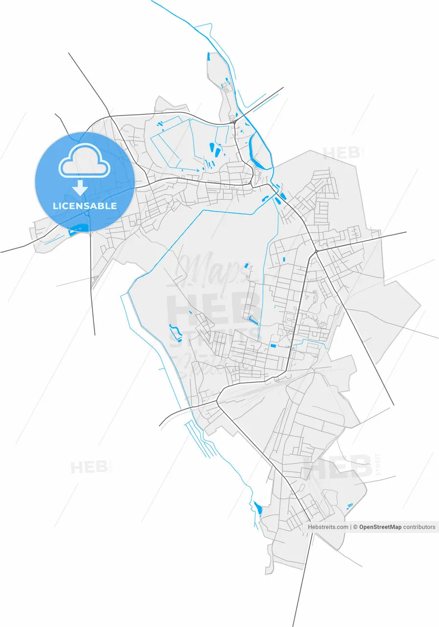 Dubno, Rivne Oblast, Ukraine, high resolution vector map - Instant download PDF and JPG