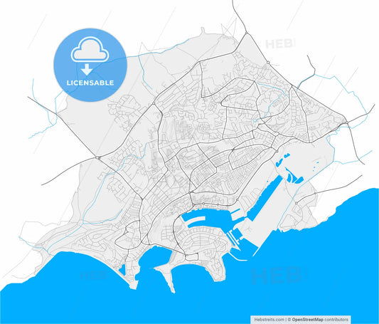 Barry, Vale of Glamorgan, Wales, high resolution vector map - Instant download PDF and JPG