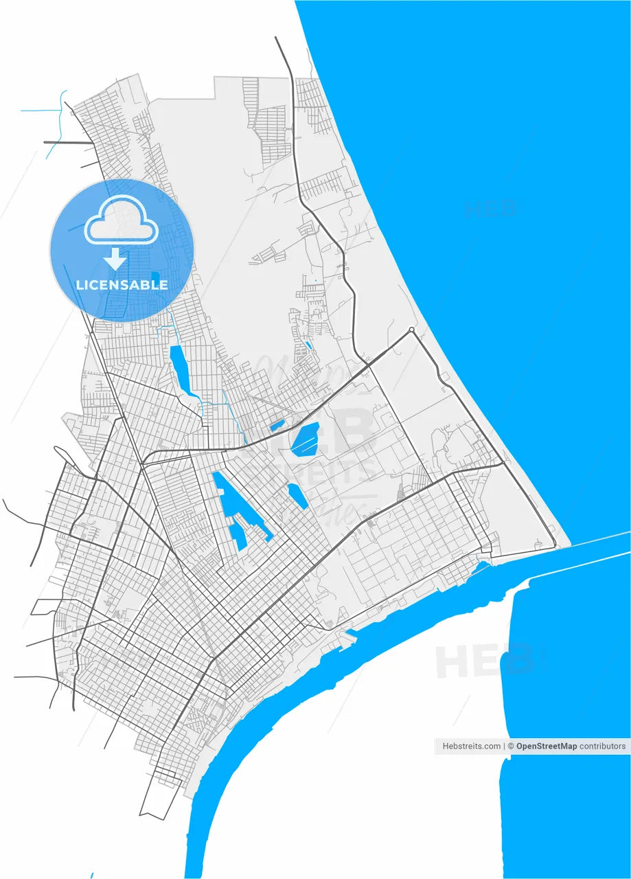 Ciudad Madero, Tamaulipas, Mexico, high resolution vector map - Instant download PDF and JPG