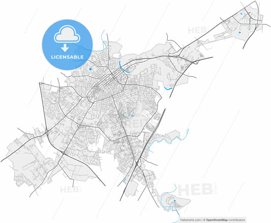 Bowling Green, Kentucky, United States, high resolution vector map - Instant download PDF and JPG