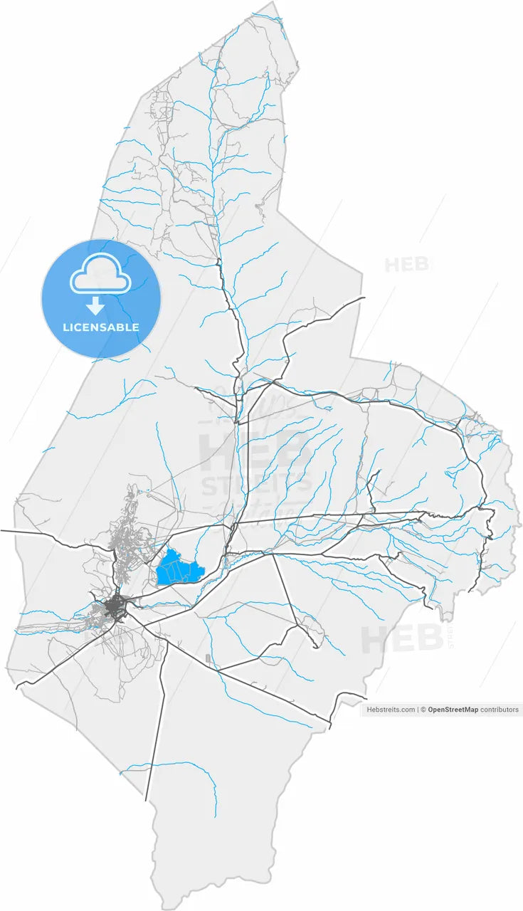 Calama, Chile, high resolution vector map - Instant download PDF and JPG