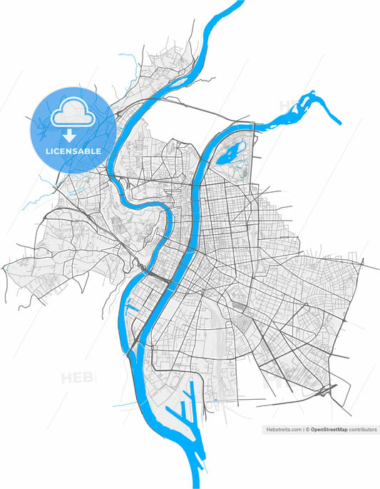 Lyon, Rhône, France, high resolution vector map - Instant download PDF and JPG
