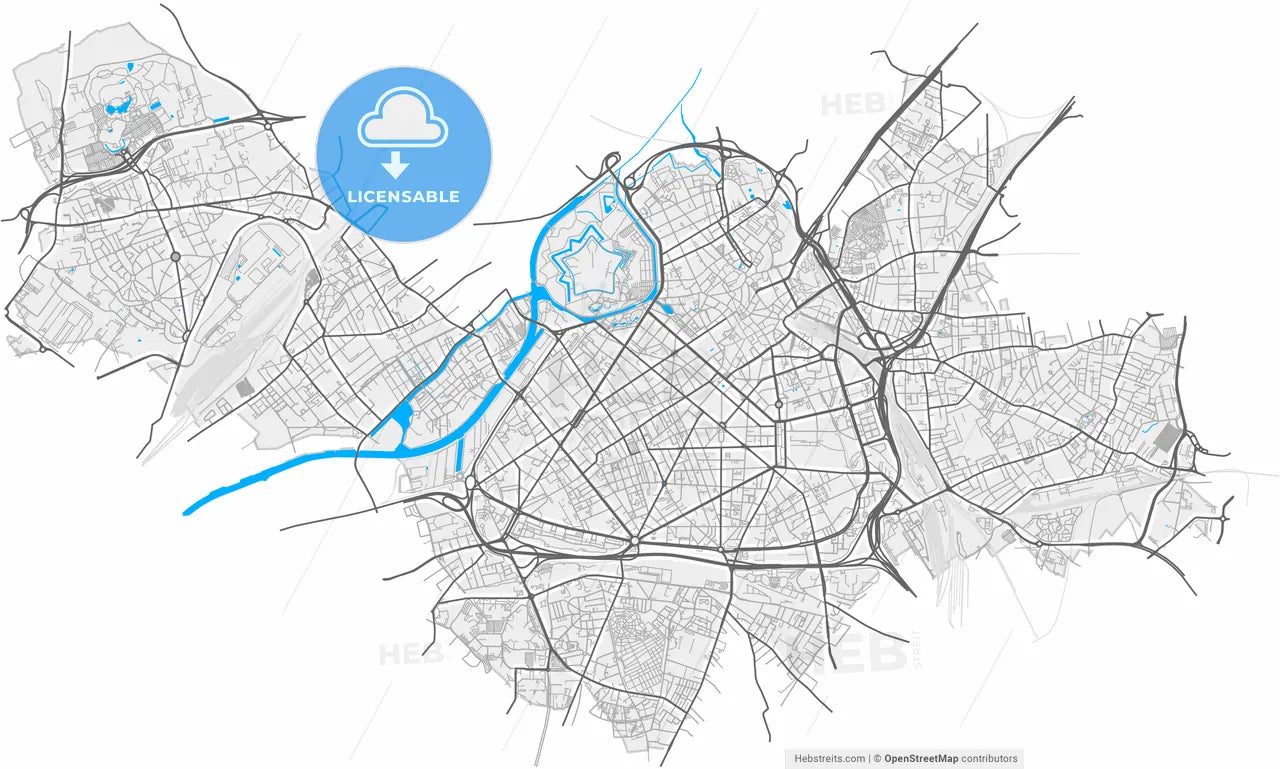 Lille, Nord, France, high resolution vector map - Instant download PDF and JPG