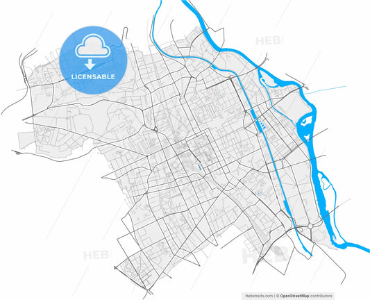 Nancy, Meurthe-et-Moselle, France, high resolution vector map - Instant download PDF and JPG