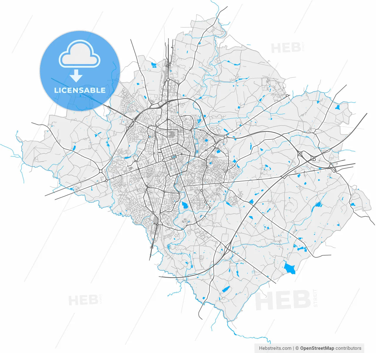 La Roche-sur-Yon, Vendée, France, high resolution vector map - Instant download PDF and JPG