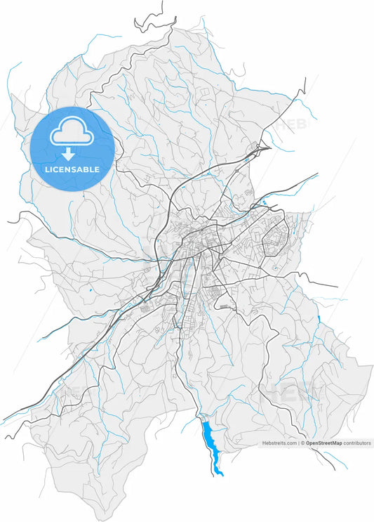 Saint-Chamond, Loire, France, high resolution vector map - Instant download PDF and JPG