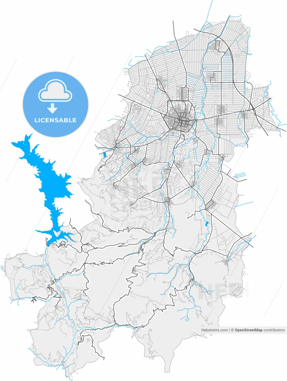 Karditsa, Thessaly, Greece, high resolution vector map - Instant download PDF and JPG