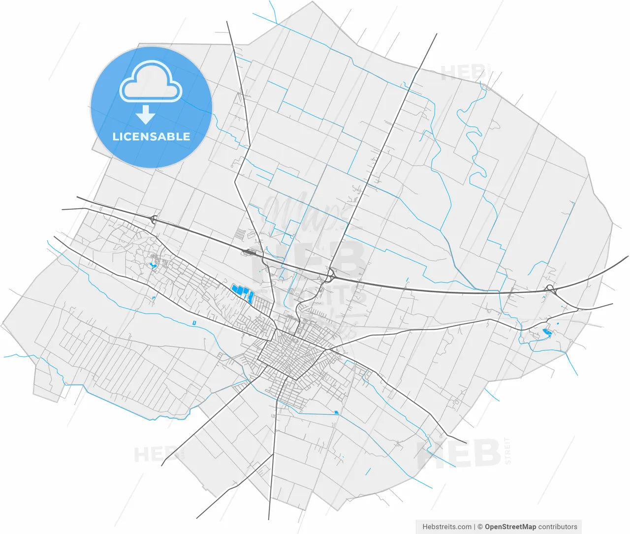 Cegléd, Pest, Hungary, high resolution vector map - Instant download PDF and JPG