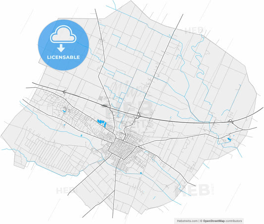 Cegléd, Pest, Hungary, high resolution vector map - Instant download PDF and JPG