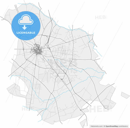 San Severo, Apulia, Italy, high resolution vector map - Instant download PDF and JPG