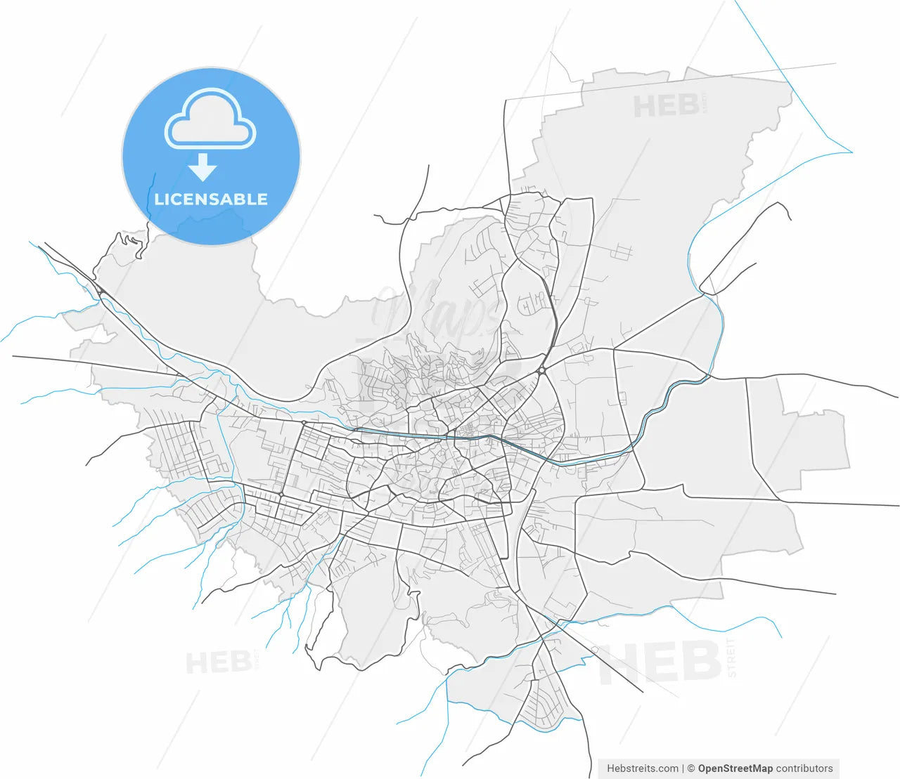Bitola, North Macedonia, high resolution vector map - Instant download PDF and JPG
