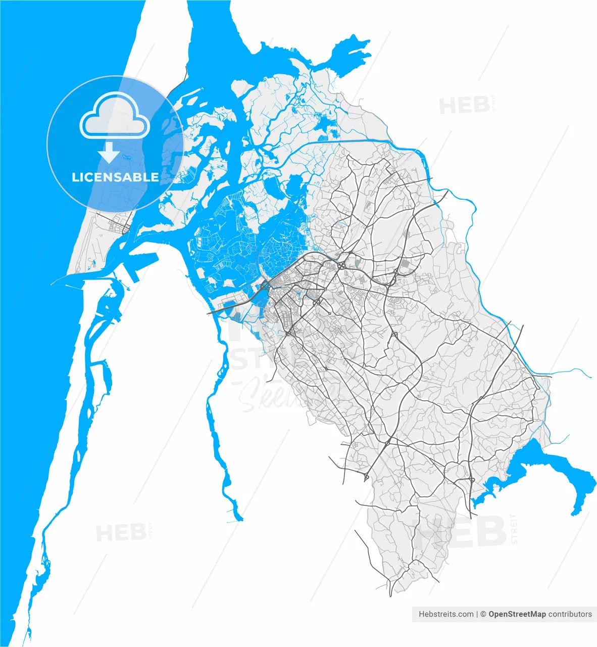 Aveiro, Aveiro, Portugal, high resolution vector map - Instant download PDF and JPG