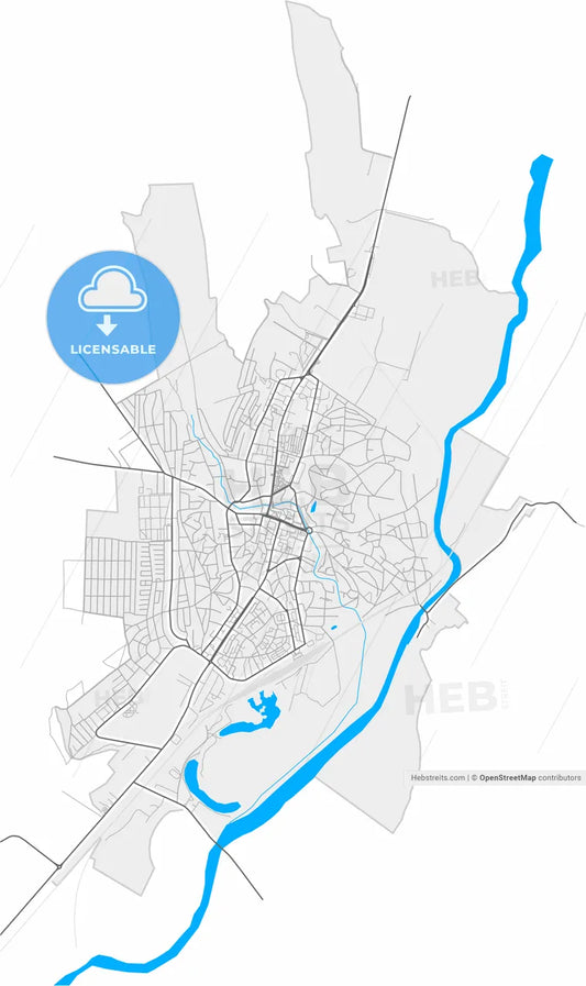 Bârlad, Vaslui, Romania, high resolution vector map - Instant download PDF and JPG
