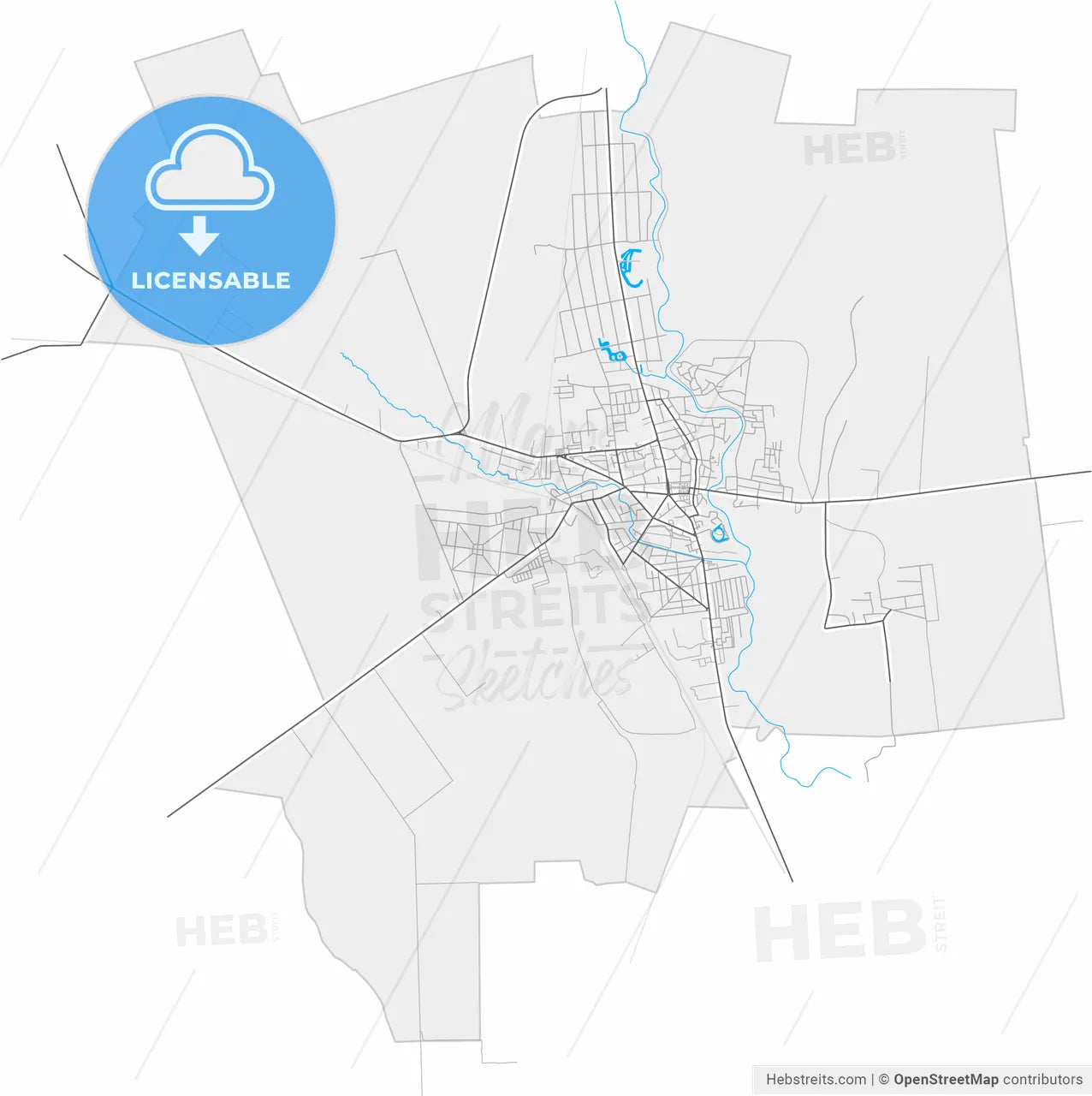 Tecuci, Galați, Romania, high resolution vector map - Instant download PDF and JPG