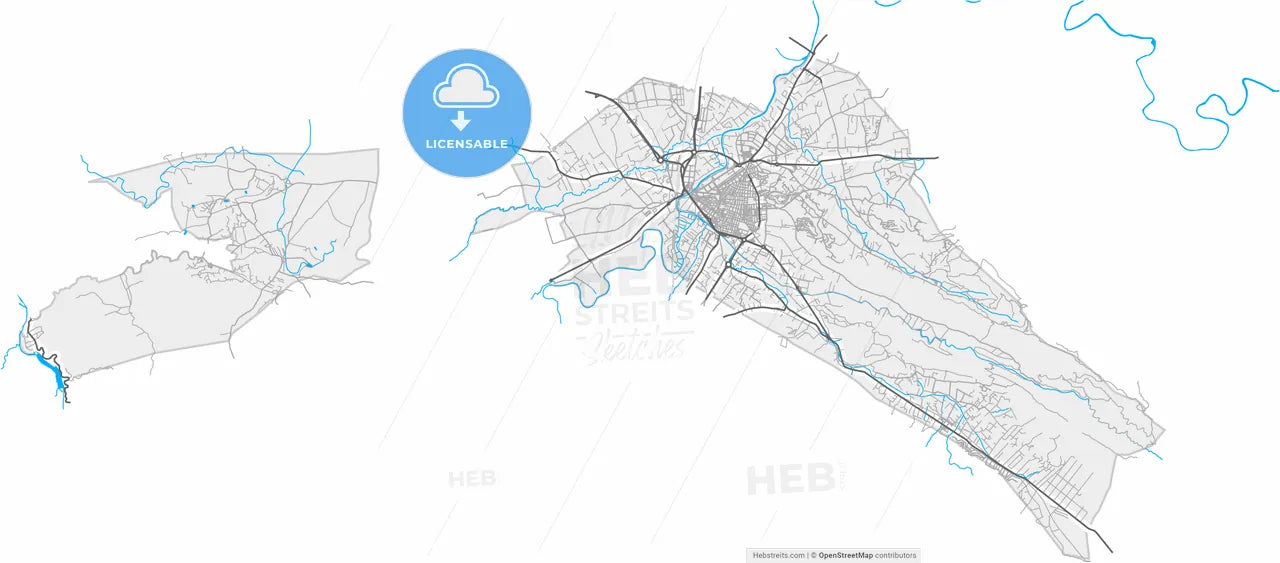 Alzira, Valencia, Spain, high resolution vector map - Instant download PDF and JPG